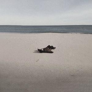 Still Something (s l o w e d + r e v e r b)