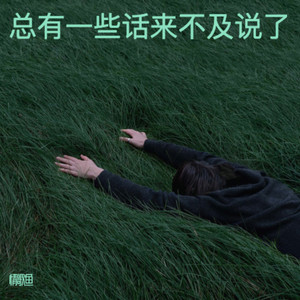 总有一些话来不及说了