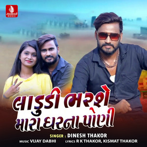 Laadudi Bharse Mara Gharna Poni - Single