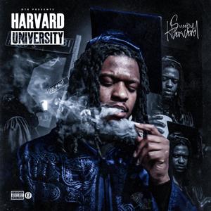 Harvard University (Explicit)