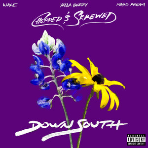 Down South (feat. Yella Beezy & Maxo Kream) (Chopped & Skrewed) [Explicit]