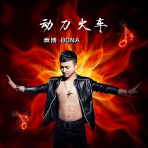 秦博-动力火车 (DJSxd remix)