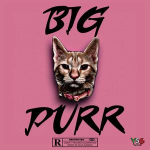 BIG PURR (Explicit)