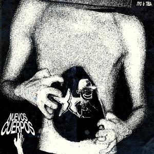 NUEVOS CUERPOS