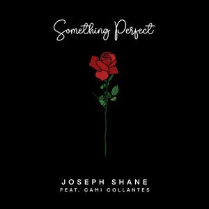 Something Perfect (feat. Cami Collantes)