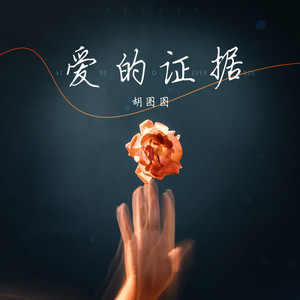 爱的证据