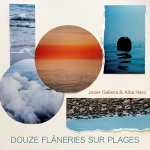 Douze flâneries sur plages