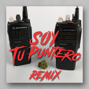 SOY TU PUNTERO (Remix|Explicit)
