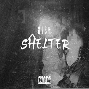 Shelter (Explicit)