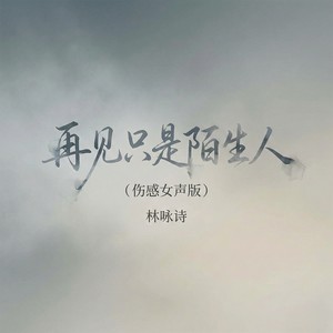 再见只是陌生人 (伤感女声版)封面
