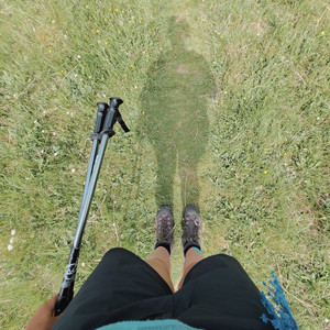 flipping.shallower.avocado