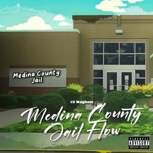 Medina County Jail Flow (Explicit)