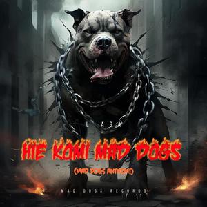 Hie komi Mad Dogs (Mad Dogs anthem!) (Explicit)