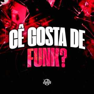 Cê Gosta De Funk? (Explicit)