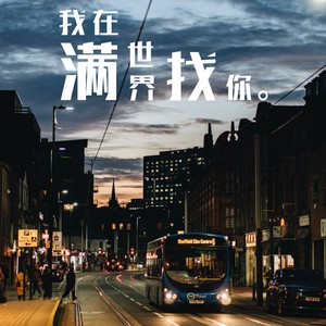 我在满世界找你