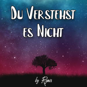 Du verstehst es nicht (Radio Edit)