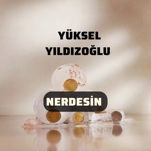 Nerdesin