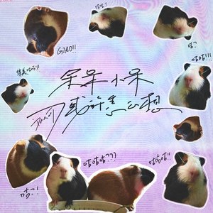 呆呆小呆或许怎么想