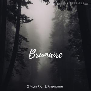 Brumaire (feat. Anenome)