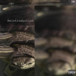 Reintroduction (Explicit)