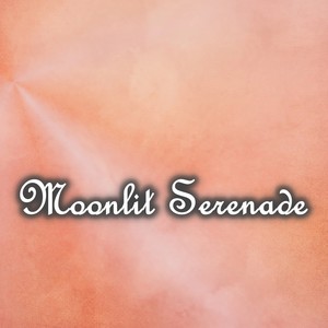 Moonlit Serenade