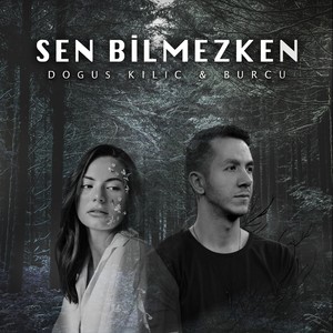 Sen Bilmezken