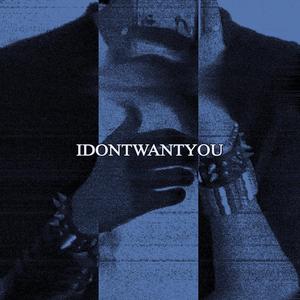 IDONTWANTYOU (Explicit)