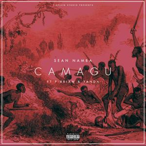 Camagu (feat. P-Brian & Yanda) (Radio Edit)