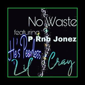 No Waste (feat. P RNB Jonez & Lil Cray) [Explicit]