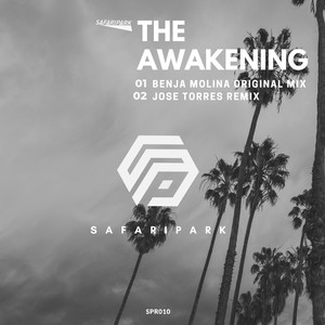 The Awakening
