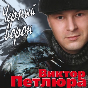 Чёрный Ворон