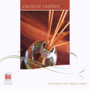 Trio for Piano, Violin and Violoncello No. 2 in E-Flat Major, D. 929: Andante con moto