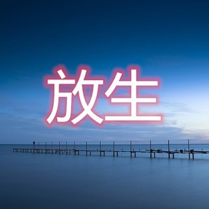 明月天涯-洛亭亭&古风