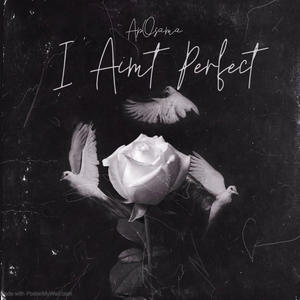 I Aint Perfect (Explicit)