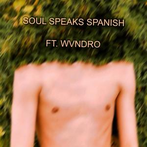 Soul Speaks Spanish (feat. Wvndro) [Explicit]