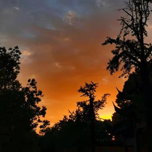 Y-TANG - 在黄昏奔跑