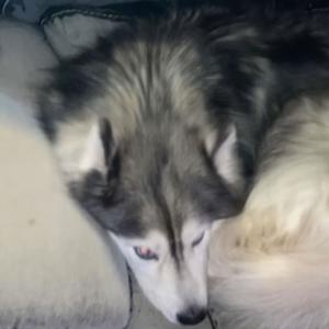 worth (feat. UnfortunatelyFallen) (Explicit)