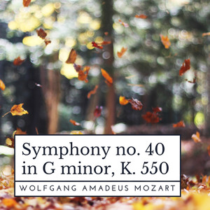 Symphony No. 40 in G Minor, K. 550 - III. Menuetto allegretto
