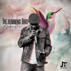 The Hummingbird Acoustic