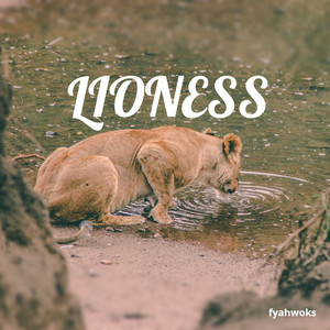 Lioness