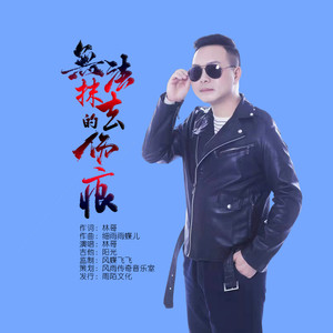 无法抹去的伤痕 (伴奏)