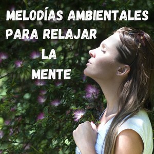 Melodías Ambientales para Relajar la Mente