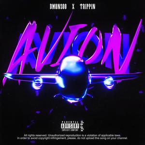 avion (feat. trippin)