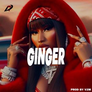 FREE AFROBEATS INSTRUMENTALS GINGER