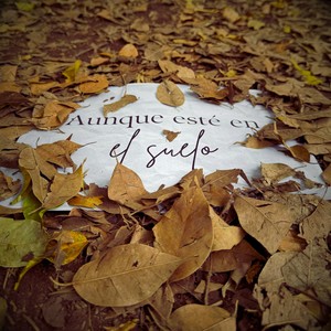 Aunque esté en el suelo