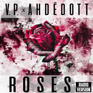 Roses (feat. V'P) [Radio Edit]