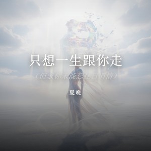 只想一生跟你走 (DJ女版) - 夏晚封面