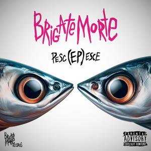 Zucculelle (Explicit)