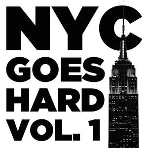 NYC Goes Hard, Vol. 1: Real Hip Hop from New Yorks Best with DMX, Big L, Jadakiss, and More Kings of