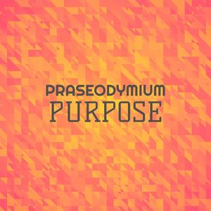 Praseodymium Purpose